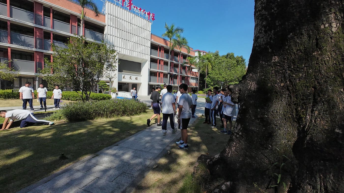 红砖教学楼与棕榈树间的草坪