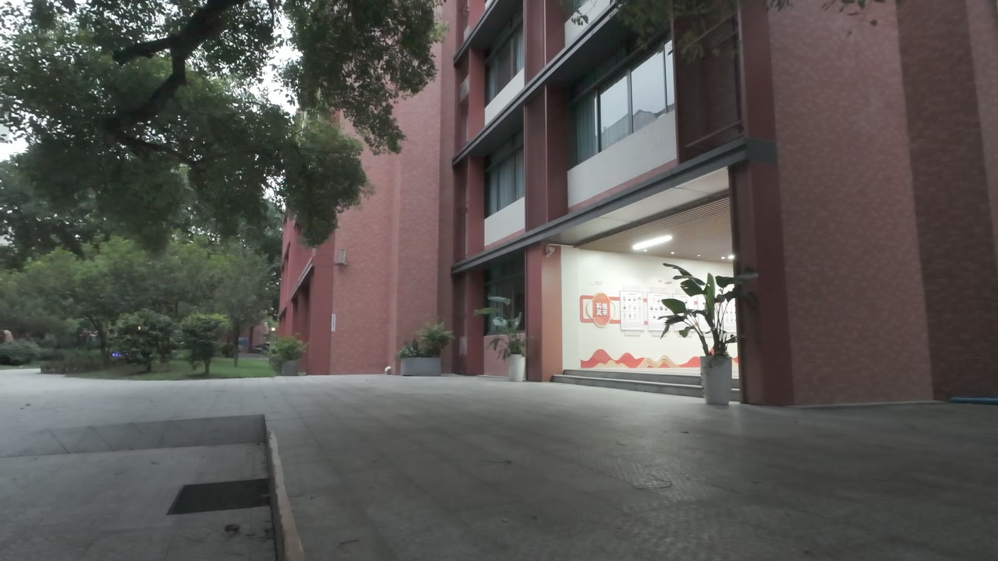 红色楼宇与林荫广场